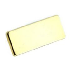 Professor Motor Neodymium traction magnet 25x8x1mm