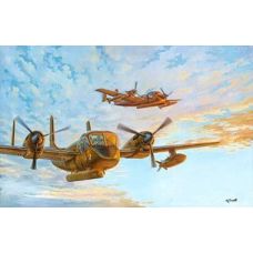 Roden 1/48 OV1B Mohawk US Army Plastic Model Kit