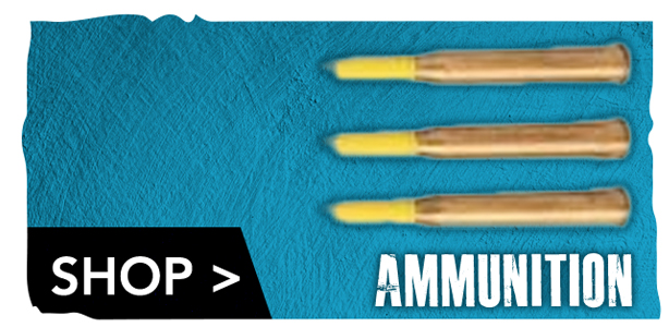 Find Ammunition Model Detail Supplies